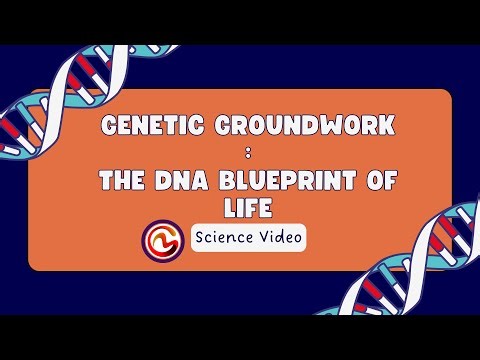 Genetic Groundwork: The DNA Blueprint of Life