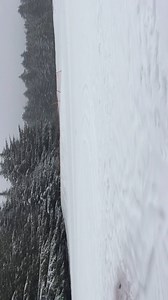 It's snowing hard out today with 2" at the base are already! It shows no sign of stopping and conditions are excellent! | 49 Degrees North
