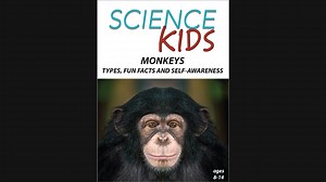 Science Kids - Monkeys - Science Kids  - Grades 4 - 9 - Wonderscape Education