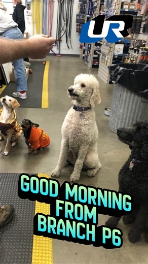 📍 Branch P6 – Everett Meet the crew: Becky, Lillie, Sierra, Gustavo, and Jason 👋 Nestled between the Cascade Mountains and Puget Sound, United Refrigeration Everett serves the HVACR industry from one of the most beautiful spots in the country. Just down the road from Boeing’s massive aircraft manufacturing plant ✈️, this branch is known for more than just the views. Every July, P6 hosts their annual Summer Extravaganza Cornhole Tournament & Trade Show — bringing customers, vendors, and the com