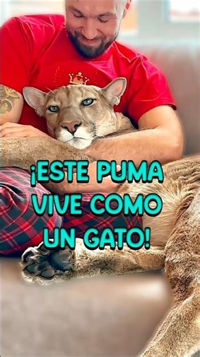 Un PUMA llamado Messi, la mascota más inesperada