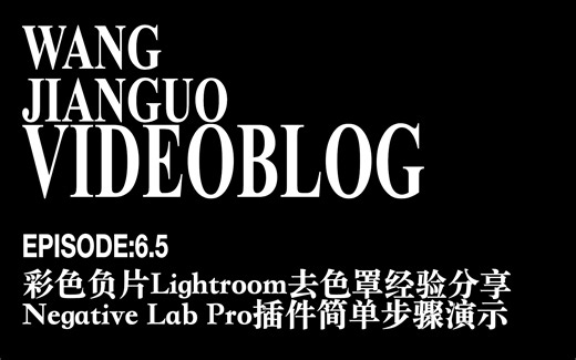 Vlog EP6.5 Lightroom胶片一分钟去色罩过程分享&去色罩插件Negative Lab Pro操作演示