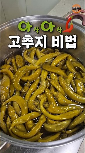아삭아삭 고추지 비법 공개!#고추지 #삭힌고추 #고추지담그기 #밥도둑반찬 #집밥레시피 #전통밑반찬 #아삭아삭 #소금물장아찌 #정쓰이모레시피#koreanfood