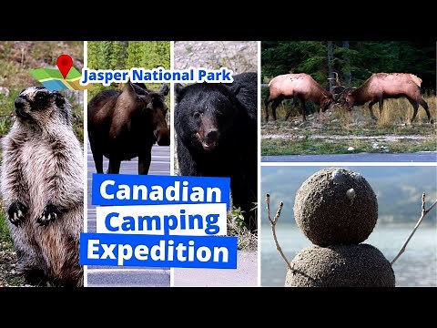 5 Days Camping in Canada - Whistlers Campground, Jasper National Park | Full Itinerary & Guide