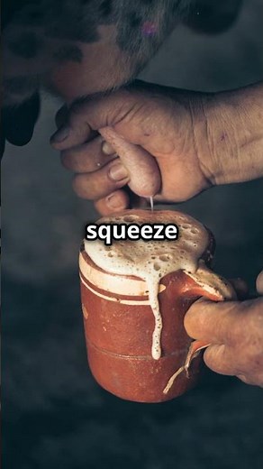 How to Milk a Cat Step by Step Guide