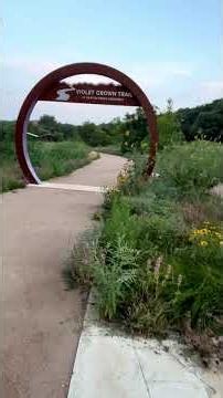 Barton Creek Greenbelt on Thursday morning