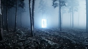 Alien Fog Night Forest Light Portal 库存影片视频（100% 免版税）1012374272 | Shutterstock