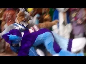 FURRY FIGHT?!