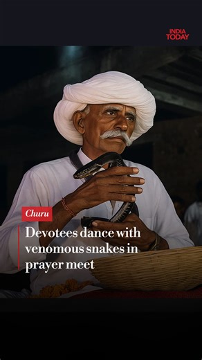 On the auspicious occasion of Teja Dashmi in Churu, Rajasthan, devotees participating in a prayer meet were observed carrying venomous snakes and dancing. Teja Dashmi is a significant festival in Rajasthan, primarily celebrated to honor Veer Teja, a folk deity revered for his bravery and regarded as a protector against snake bites. #Rajasthan #Churu #ITReel | India Today