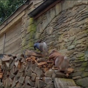 126K views · 2.1K reactions | - This scene.! | 헚헮헻헴 헟헲헮헱헲헿 | Facebook