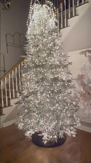 Amazing Christmas Light Combination | Cluster, Cascading, and Snake Lights #christmas