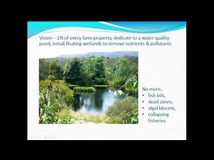 Floating Wetlands: The Solution to Clean Waterways with Tom Duncan