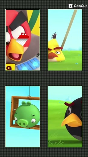 burung lucu pemarah lagi