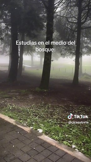 Días Lluviosos en el CICS: Naturaleza y Estudio