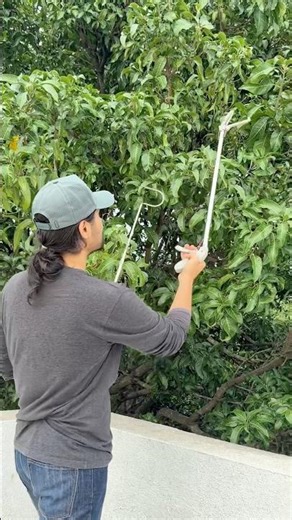 Best Equipment To Rescue Snakes