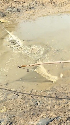 Fishermen Had One Job And The Fish Still Won ।#shorts