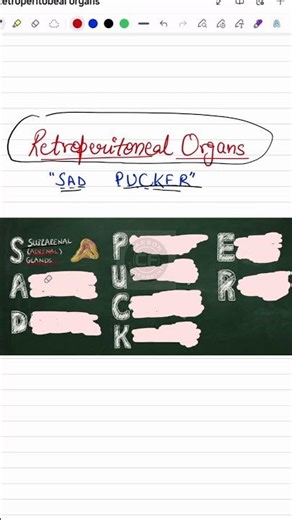 Retroperitoneal Organs Mnemonic #INICET #exam #NEETPG #education #PYQ #PYT