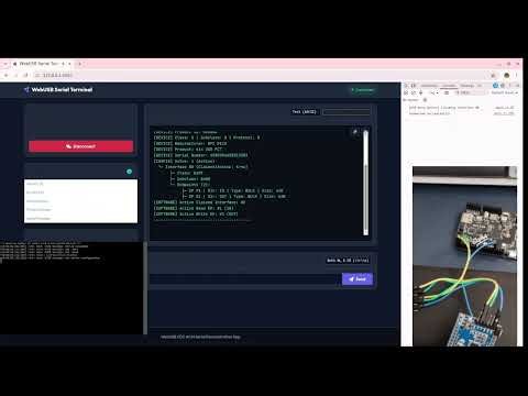 Demo of a Xiao RP2040 acting as a webUSB bridge device