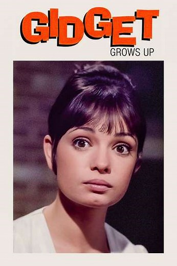 Gidget Grows Up (1969) - Movie