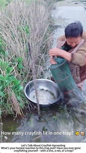 Harvesting Crayfish from a Pond – Pulling Up Trap After Trap 🦞💧