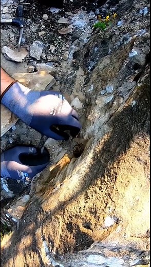 The best metal detector for depth The best detector for finding valu #metaldetecting #obsession #shorts #reel | Metal Detecting