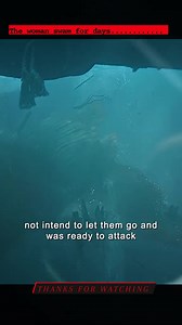 1.6M views · 11K reactions | The Lord of the Rings (TV Series 2022)...