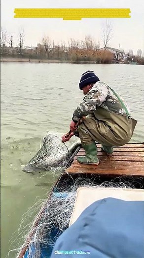 La pêche avec filet : Comment attraper le poisson géant ?