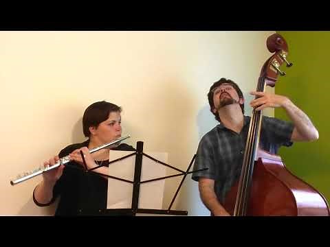 Flute and Double Bass Duet: Green Tea ft FlutePlayer777