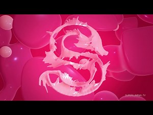 Top 5 FREE PLUGINS for After Effects