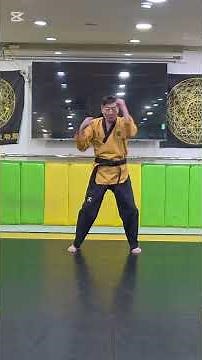 쇼츠218편: 건강!!! 실전한글태권도 한글 (너 ) 글자의수기법 1 , 2 / 1 , 4 의수기동작 사문수호기법을 사용하여 손기술연습