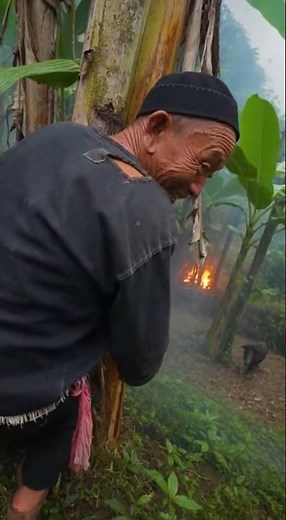 Ancient Hmong Legend: Traditional Folk Tale in Cinematic 35mm Footage