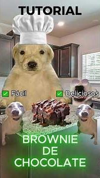 EASY CHOCOLATE BROWNIE TUTORIAL #chef