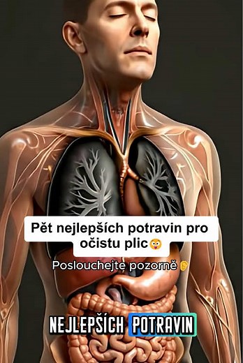 Pět nejlepších potravin pro očistu plic #zdravi #pohoda #zdravahrana #zdravastrava #vyziva