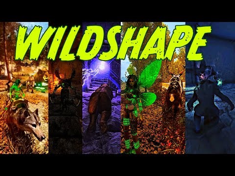 4000+ Mods Skyrim | Wild Shape Druid Build | Modified lorerim