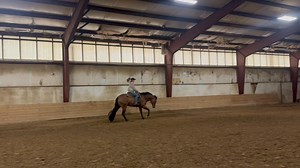 16K views · 123 reactions | Iron Gangster, AQHA 2022 gelding by the...