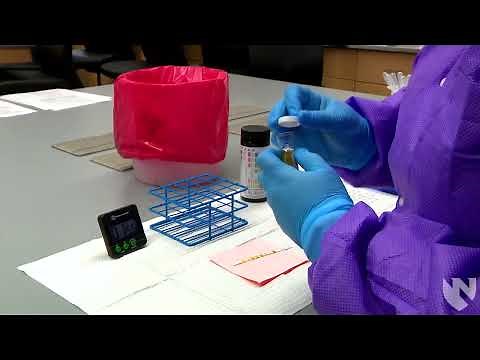 Performing a Urine Dipstick