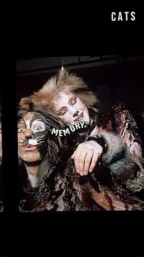 Cats: The Strangest Hit Musical Ever😻🎭#Shorts #CATS #AndrewLloydWebber #MusicalHistory