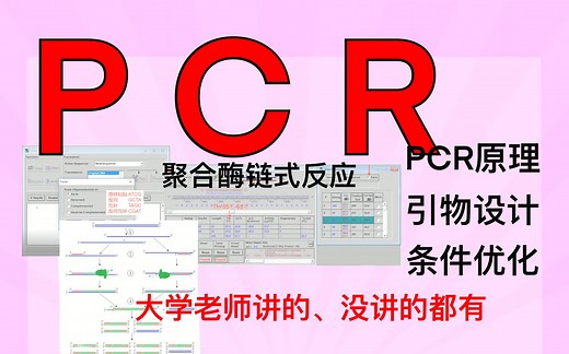 【简介区免费领课】【医学生必备】PCR实验操作全攻略 引物设计超详细步骤 条件优化实操演示