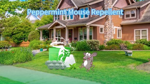 24 Pack Skunk & Raccoon Repellent Ball, Natural Rodent Repellent Balls for House, Squirrel Mice Repellents for Cars, Keeping Skunk Out of Car, Garage, Attic, RV Mouse Deterrents Pet Safe