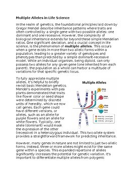 Multiple Alleles Worksheet for Sub-Plan or Classwork & Homework