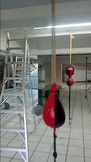 Clases de Box León Guanajuato