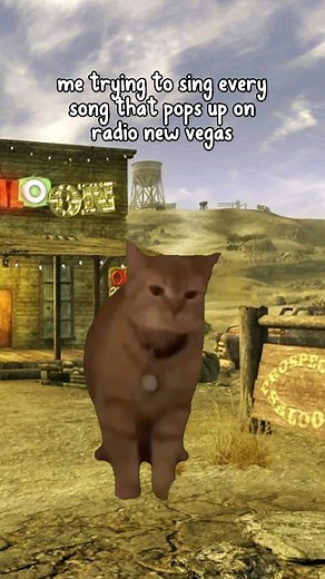 634K views · 68K reactions | Cats And Cowboy Hats on Reels | Facebook