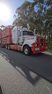 Happy hump day! | Ray Lawrence Photography