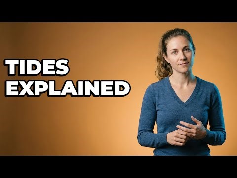 How Does Ocean Basin Geometry Impact Tides?