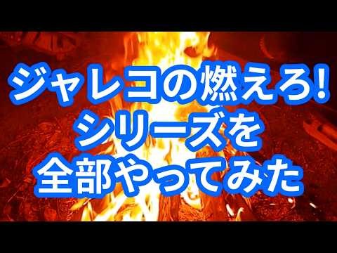 I tried playing all of Jaleco's Moero!! series.
