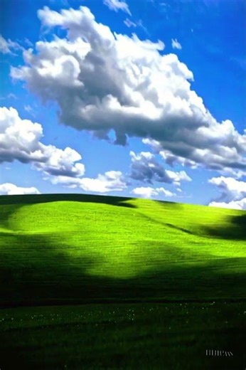 Windows XP realistic 3D wallpaper #ai #motion #operation #system