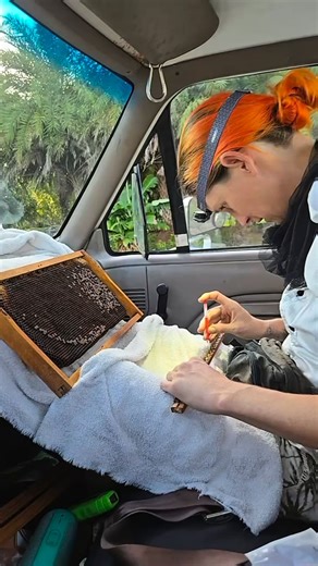 Tucka Bee | Rocking it out with @ambee_assembly !!! . My #bee #bestie and I have been raising mid-winter #queencells for a queen handling and marking... | Instagram