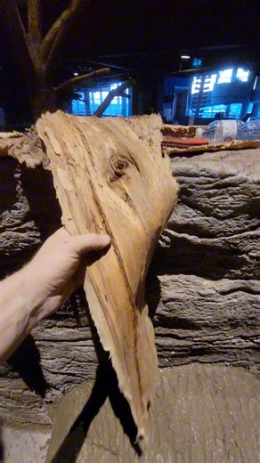 Creating a faux tree stump using our silicone stamps, for an animal enclosure at Science North 🪵 #rockscapescanada #rockreplica #fauxrock #construction #design #build #artist #art #artificialrock #concrete #fauxlog #fauxwood #artificialwood #stamping #stamp #texture | Rockscapes