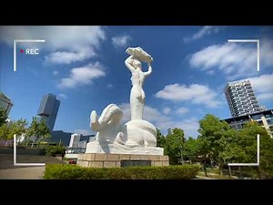 SnoppaRover Cinema Dolly - Indoor Mobile Filming Capability 2022