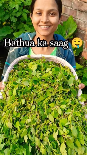 ✨ 🌿Bathua Ka Saag/Bathua Recipe/Saag recipe/How to make bathua at home#recipe#shorts#vlog#shortsfeed